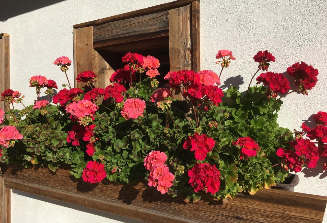 Haus Buchhammer Sankt Anton am Arlberg Dış mekan fotoğraf